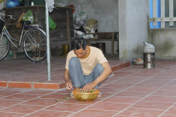 Азиатский мужчина собирает овощи — стоковое фото