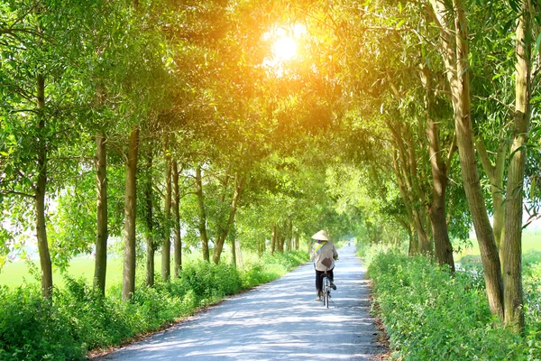 在道路上骑自行车的亚洲女人 — 图库照片