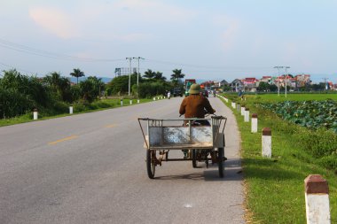 Yolda bisiklet süren Asyalı bir adam.