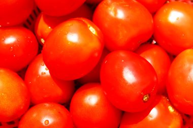 Kırmızı olgun domates