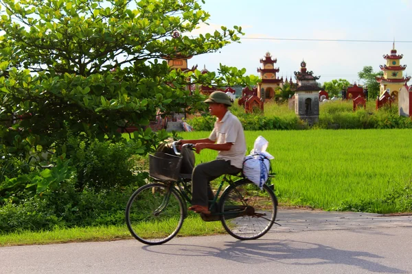 道路を自転車で走っているアジア系男性は — ストック写真