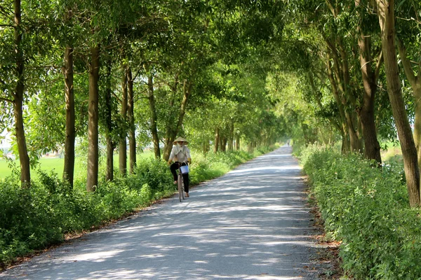 Asiático hombre a caballo un bicicleta en el camino — Foto de Stock