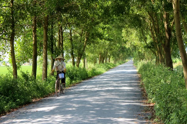 Asiatico donna equitazione un bicicletta su il strada — Foto Stock