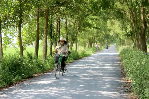 Asiatico donna equitazione un bicicletta su il strada — Foto Stock