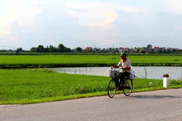 Asiatischer Mann mit Fahrrad auf der Straße — Stockfoto