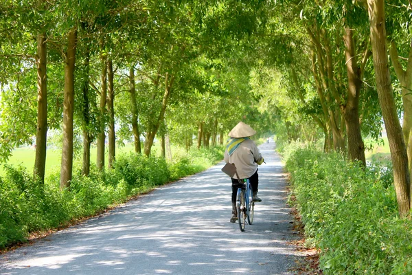 Asiatico donna equitazione un bicicletta su il strada — Foto Stock