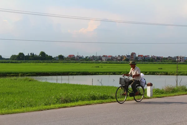 道路を自転車で走っているアジア系男性は — ストック写真