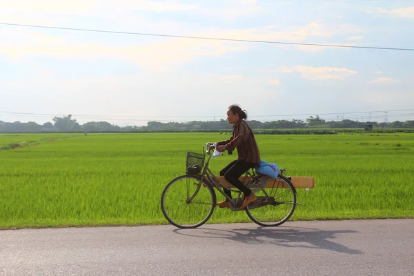 Asian woman riding a bicycle on the road — Stock Photo, Image