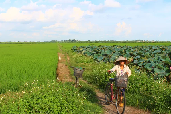Mulher asiática montando uma bicicleta na estrada — Fotografia de Stock