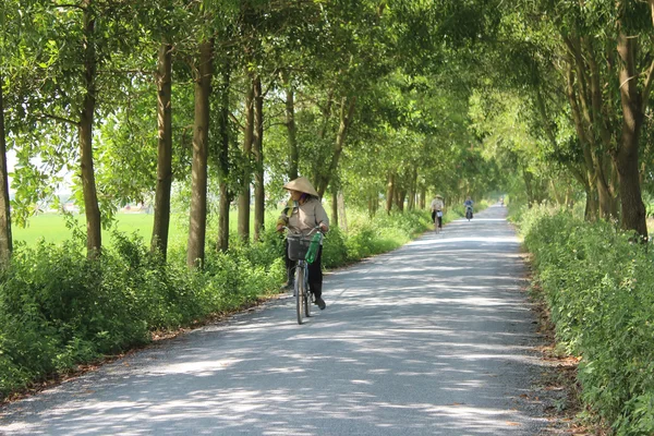 Asian woman riding a bicycle on the road — Stock Photo, Image