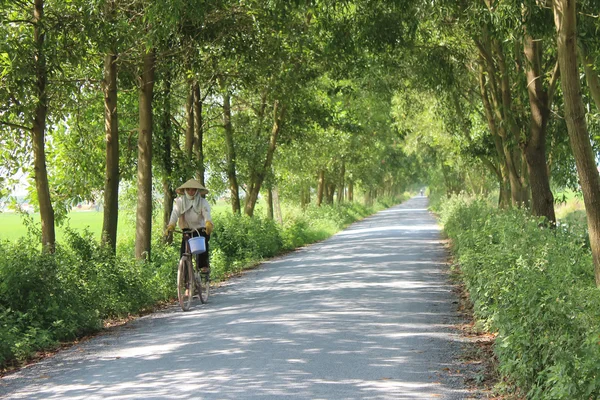 Femme asiatique, faire du vélo sur la route — Zdjęcie stockowe