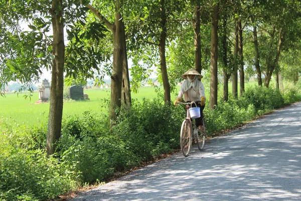 Mulher asiática montando uma bicicleta na estrada — Fotografia de Stock