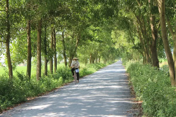 Asiatico uomo equitazione un bicicletta su il strada — Foto Stock