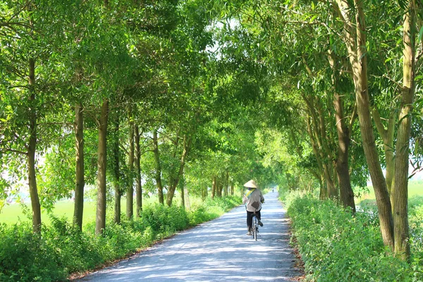Asian woman riding a bicycle on the road — Stock Photo, Image