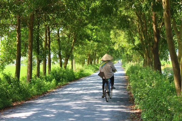 Asiatico donna equitazione un bicicletta su il strada — Foto Stock