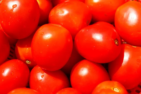 De rode rijpe tomaten — Stockfoto