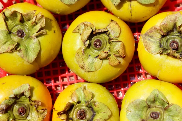 The persimmons in the basket — Stock Photo, Image