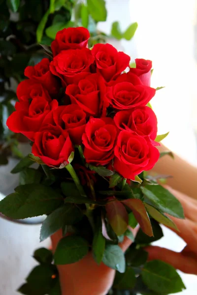 Il bellissimo bouquet di rose — Foto Stock