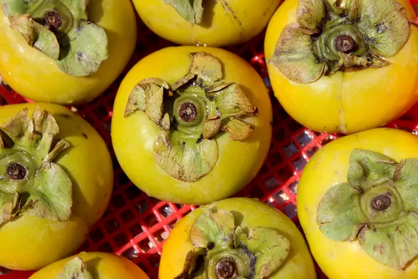 The persimmons in the basket — Stock Photo, Image