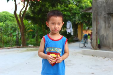 Çocuk oyun tohe, Vietnam renkli r tarafından yapılan geleneksel oyuncaklar