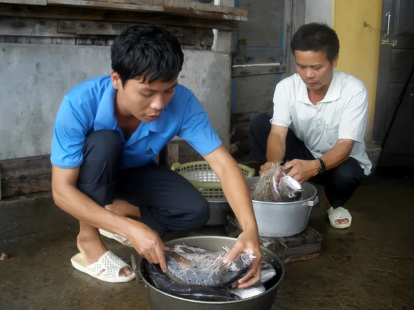 Fishermen processing fish for food — Stock Photo, Image