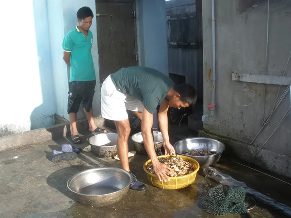 Fishermen washed sea snails — 스톡 사진