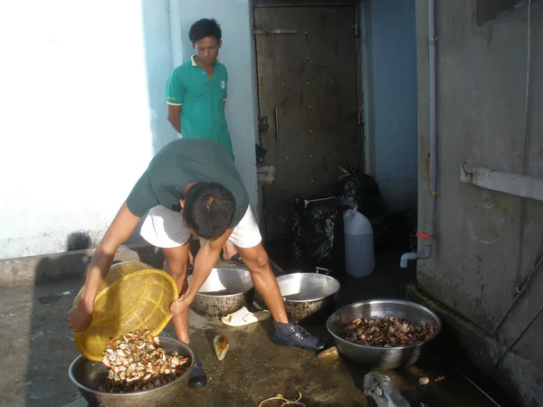 Rybacy wyrzuciło morze ślimaki — Zdjęcie stockowe