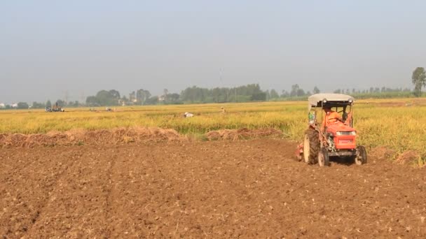 Tractor trabajando en un campo, Vietnam — Vídeo de stock