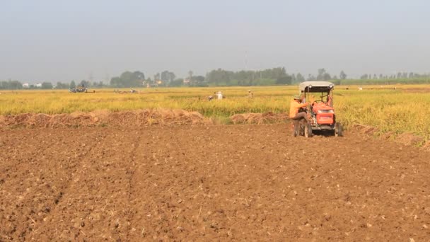 Tractor care lucrează într-un domeniu, Vietnam — Videoclip de stoc