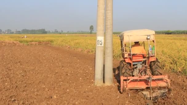 Trekker werken in een veld, vietnam — Stockvideo