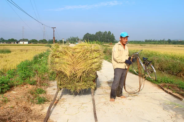 Hai duong, Vietnam, Oktober, 26: Unbekannter Mann bringt Reisbrötchen — Stockfoto