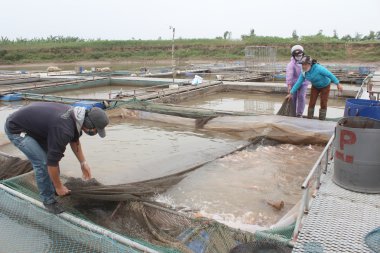 fishermen and fish farm in river clipart