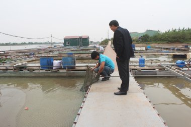 Balıkçılar ve balık çiftliği nehir