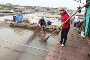 Nehirde balık çiftliği 