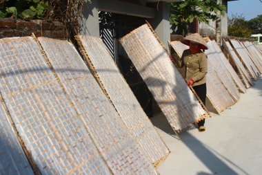 geleneksel olarak yapılan pirinç Vietnam güneşte kurutma kağıdı