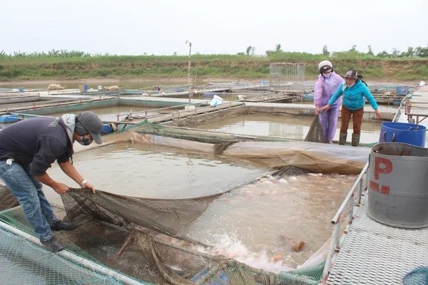 Pescatori e allevamenti ittici nel fiume — Foto Stock