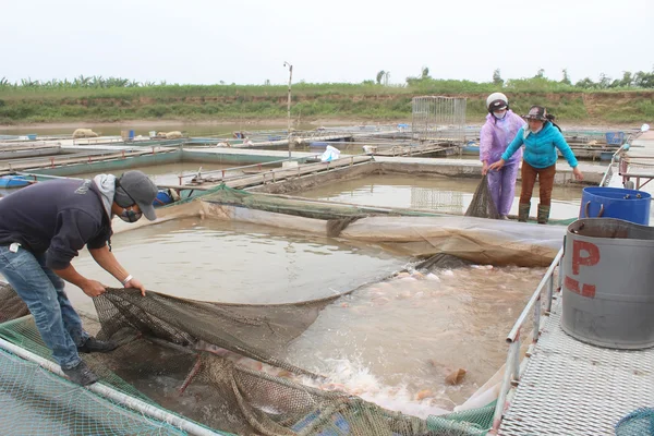 Pescadores y piscifactorías en el río — Foto de Stock