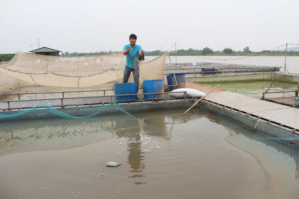 Pescatori e allevamenti ittici nel fiume — Foto Stock