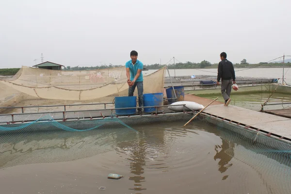 Fishermen and fish farm in river — Stock Photo, Image