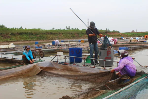 Fishermen and fish farm in river — Stock Photo, Image