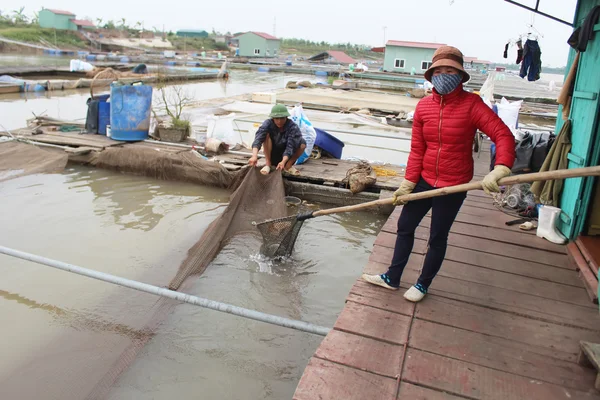 Pescadores y piscifactorías en el río —  Fotos de Stock