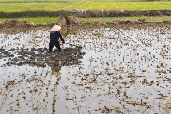 Woman farmer working in the field with hoe — Stock Photo, Image