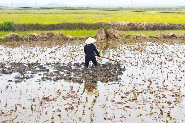 Agricultor mulher que trabalha no campo com enxada — Fotografia de Stock