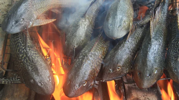 バーベキューで魚を焼く — ストック写真