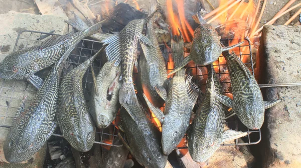 Grilování ryb na grilu — Stock fotografie