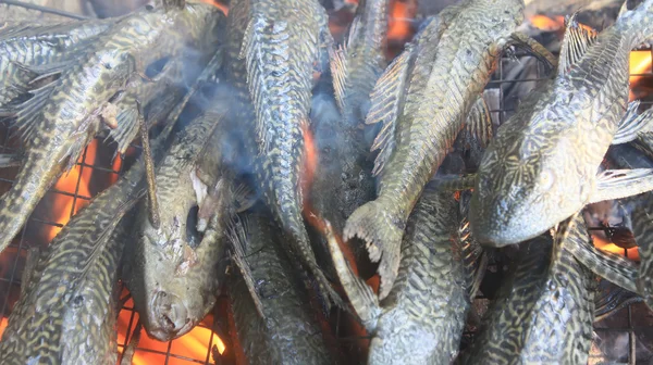 Grilling fish on barbecue — Stock Photo, Image