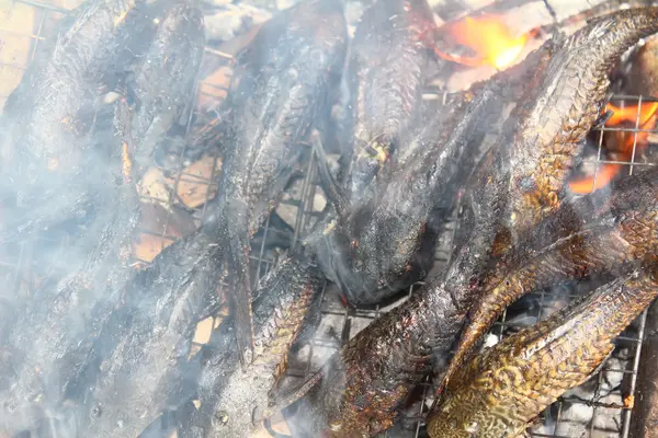 Гриль рыбы на барбекю — стоковое фото