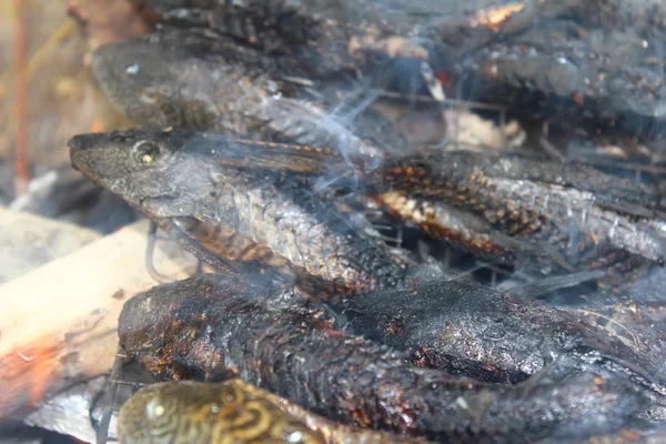 Parrillada de pescado en barbacoa — Foto de Stock