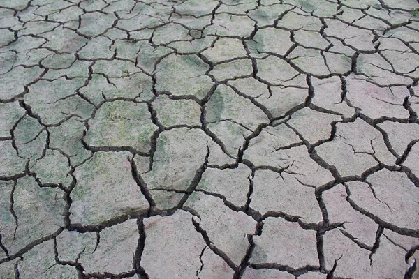 Desastre de seca — Fotografia de Stock