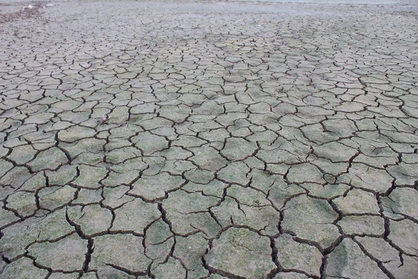 Desastre de seca — Fotografia de Stock